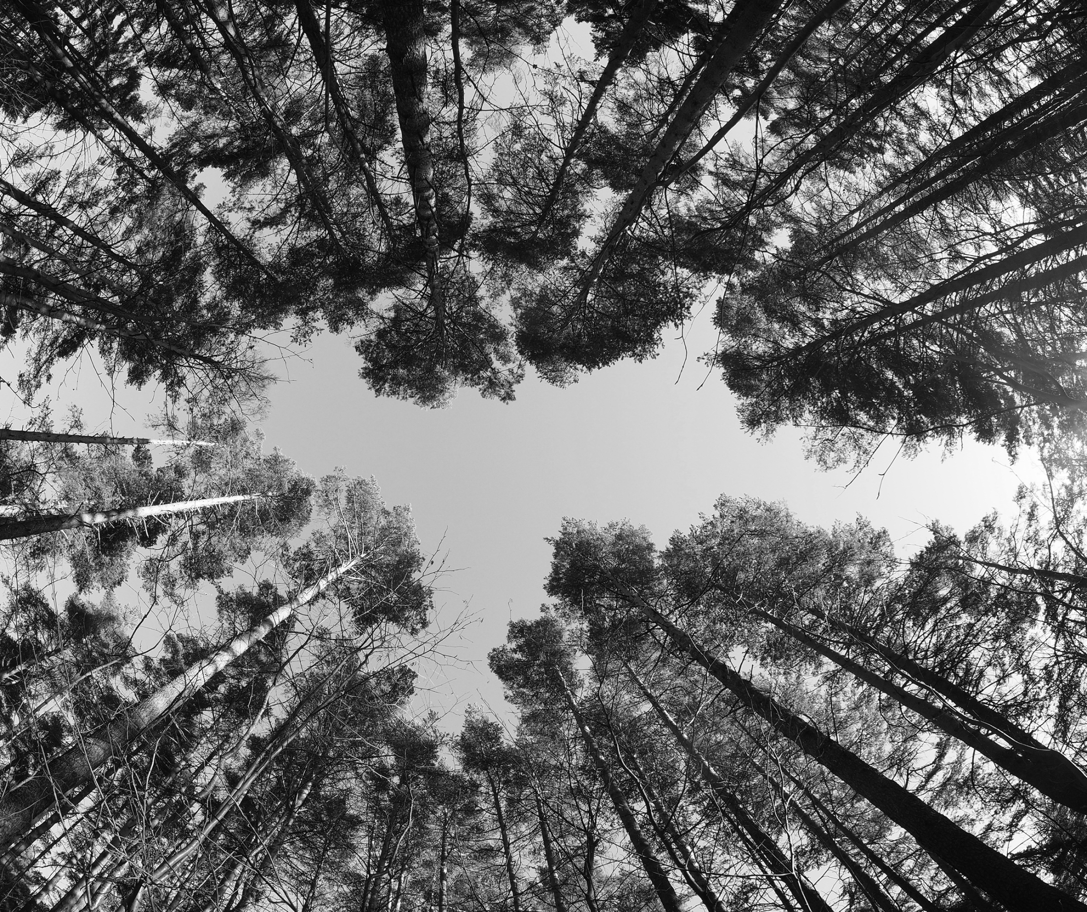 Investing with purpose