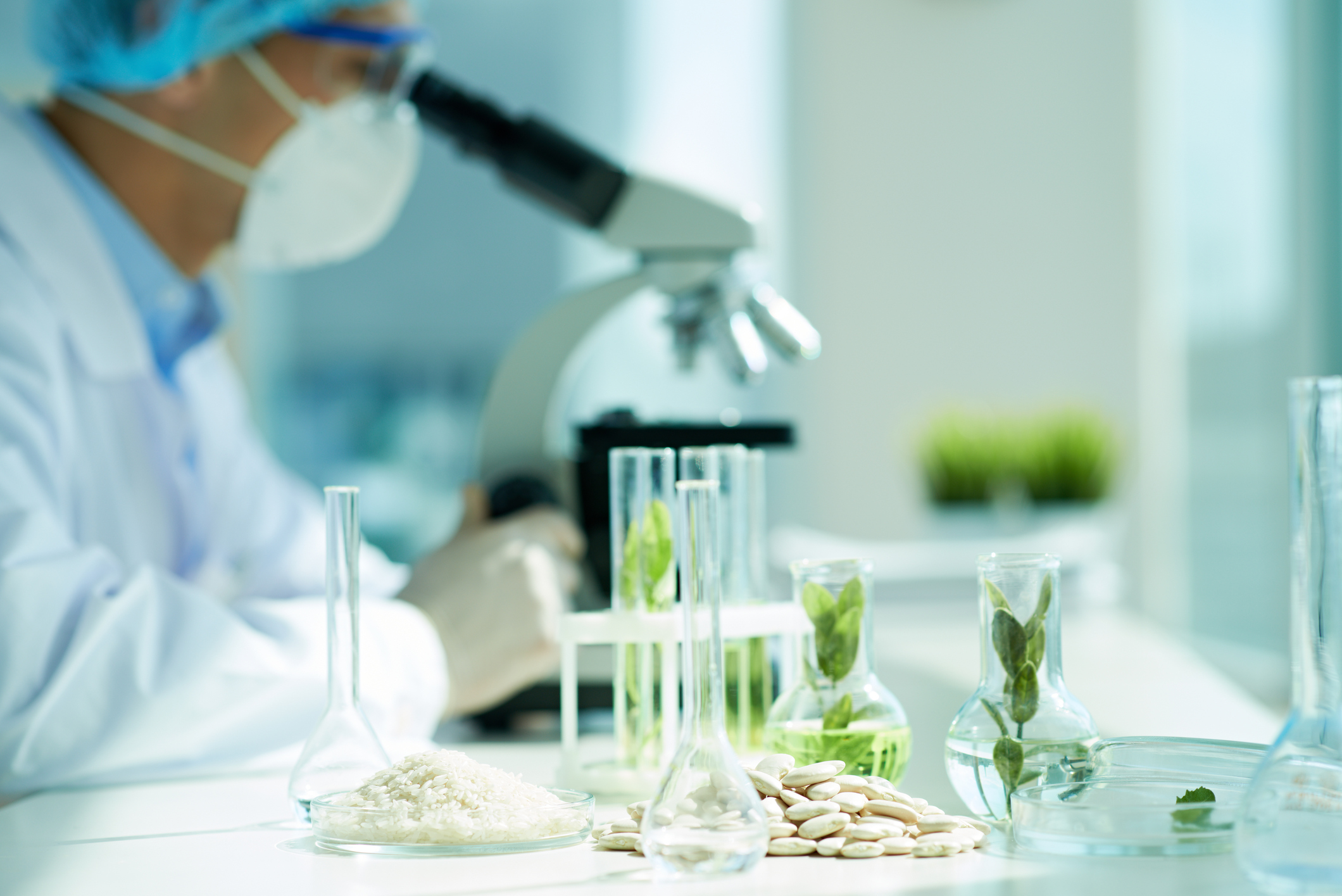 White beans and green leafs in flasks on the table with biologist in the background - illustration société Laboratoire Lescuyer